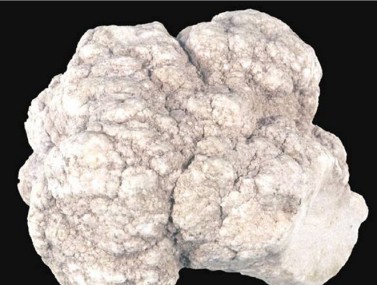 杭州白硼钙石
